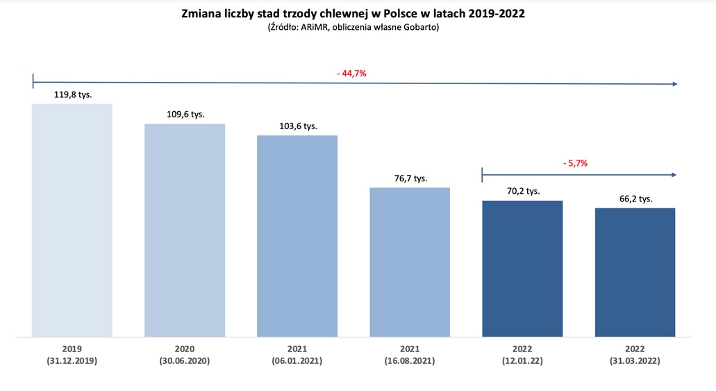 Zmiana liczby stad trzody chlewnej w Polsce w latach 2019-2022, źródło: ARiMR, Gobarto