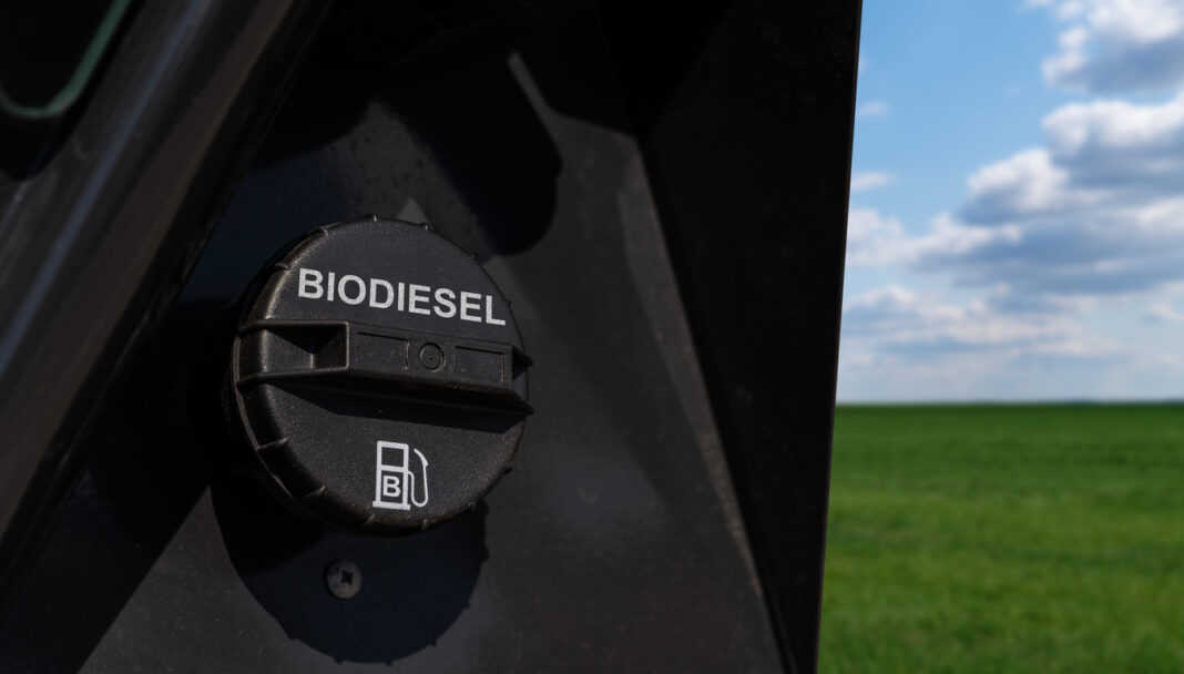 biodiesel biopaliwa