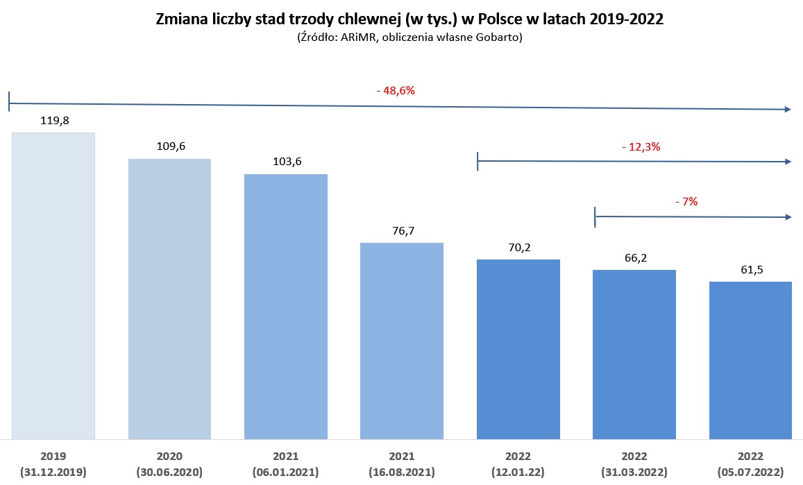 Zmiana liczby stad świń w Polsce w latach 2019-2022, źródło: Gobarto