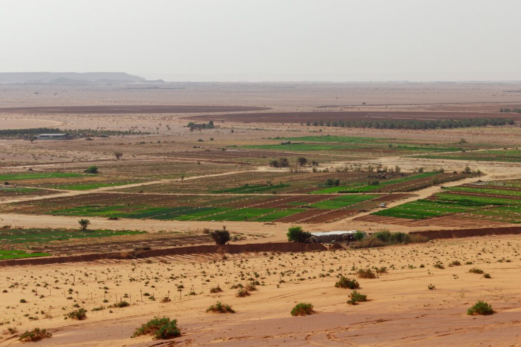 rolnictwo pustynia pole pola